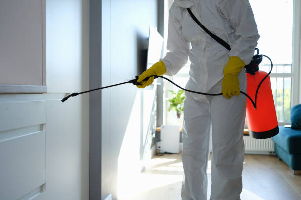 Best Affordable Mold Removal  in Corvallis, MT
